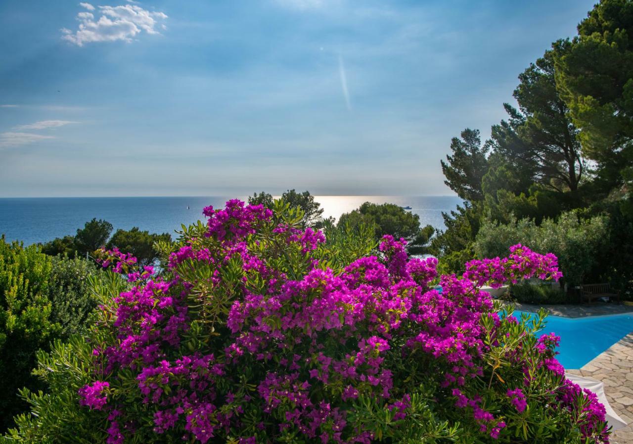 בית הארחה אנה קאפרי 	Il Carrubo Capri מראה חיצוני תמונה